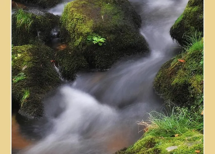 מלון Seidl Arbesbach