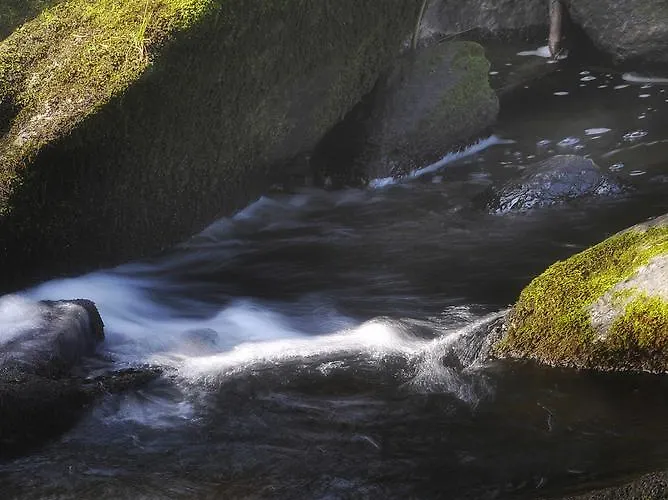 Seidl מלון Arbesbach