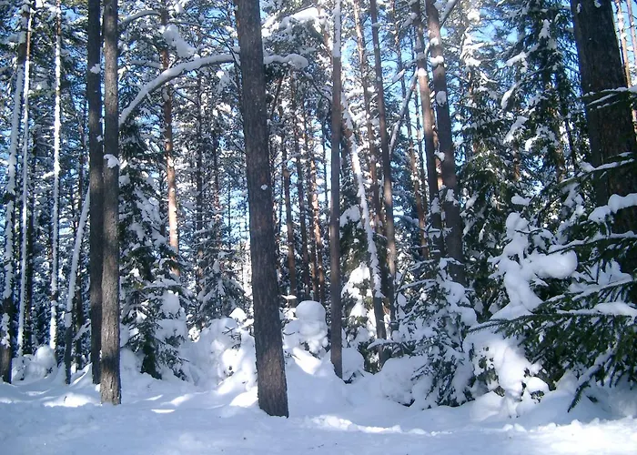 מלון Seidl Arbesbach