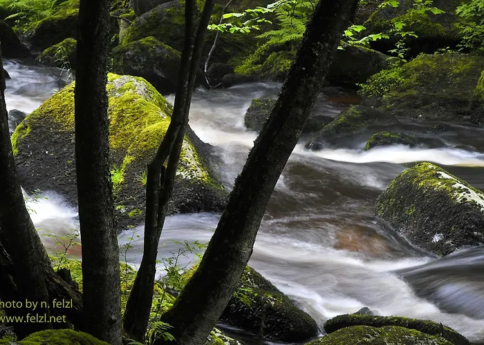 מלון Seidl Arbesbach